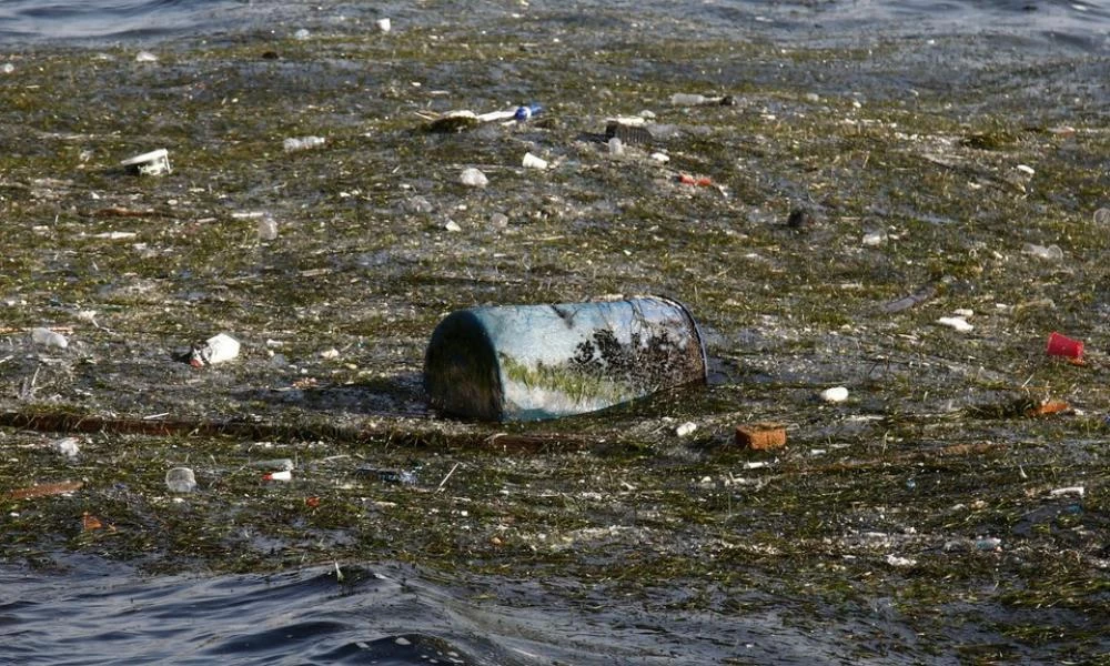 Θεσσαλονίκη-Θερμαϊκός : Φύκια και απορρίμματα μπροστά στον Λευκό Πύργο